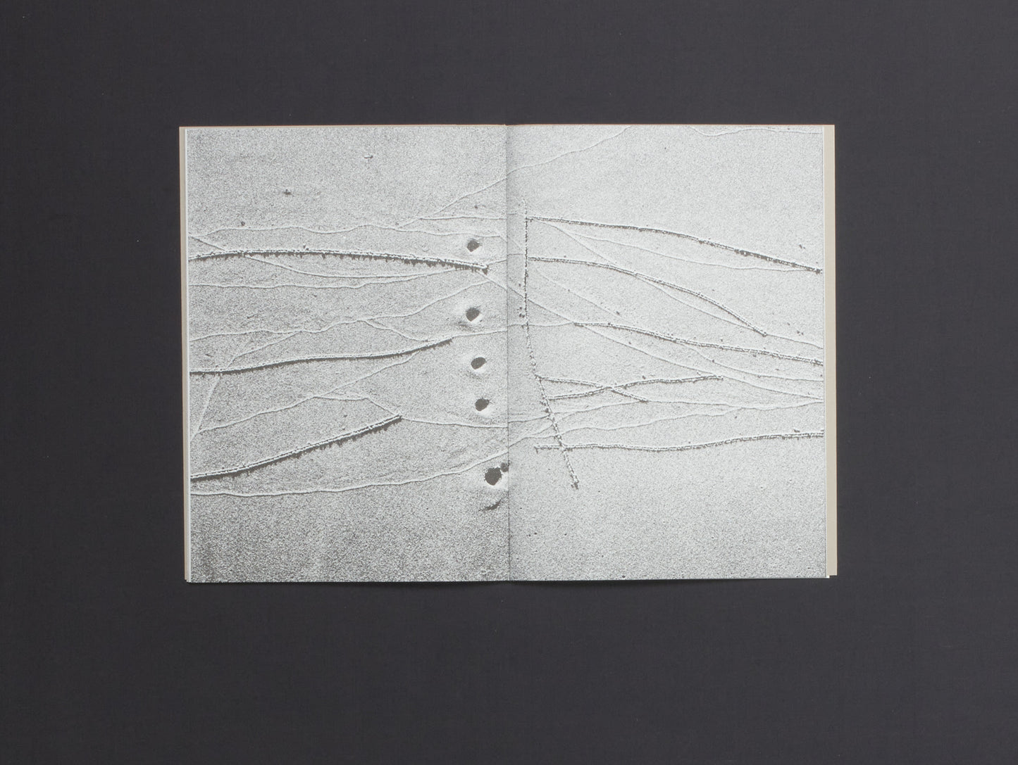 Ben K. Voss & Midge Wattles, IMPRINTS II