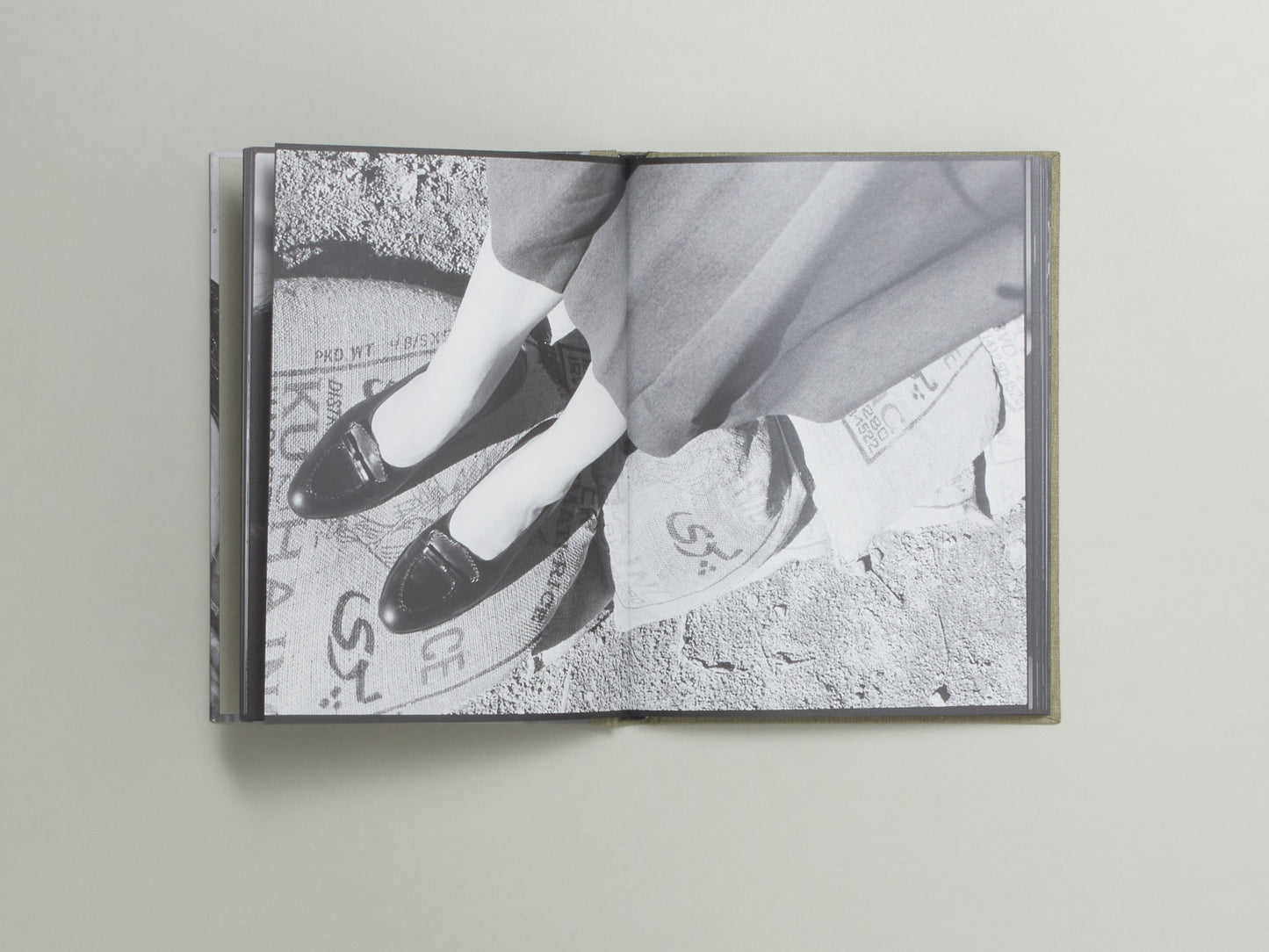 Swan Moon, Swan Moon's Swan Moon