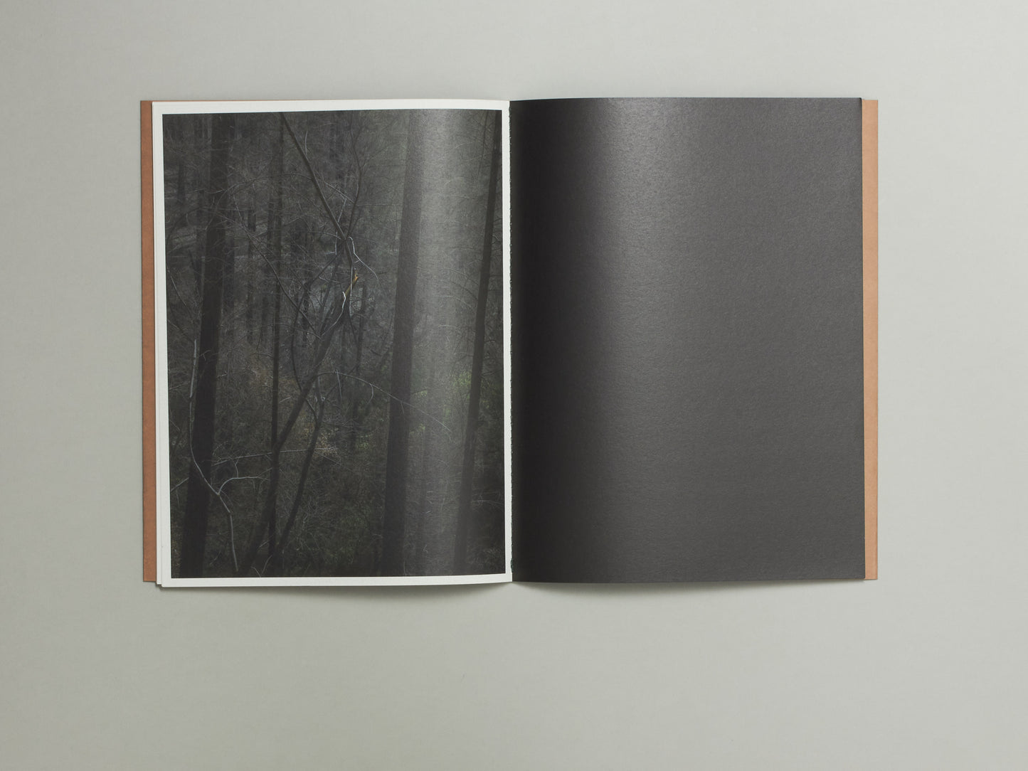 S Billie Mandle, Asunder