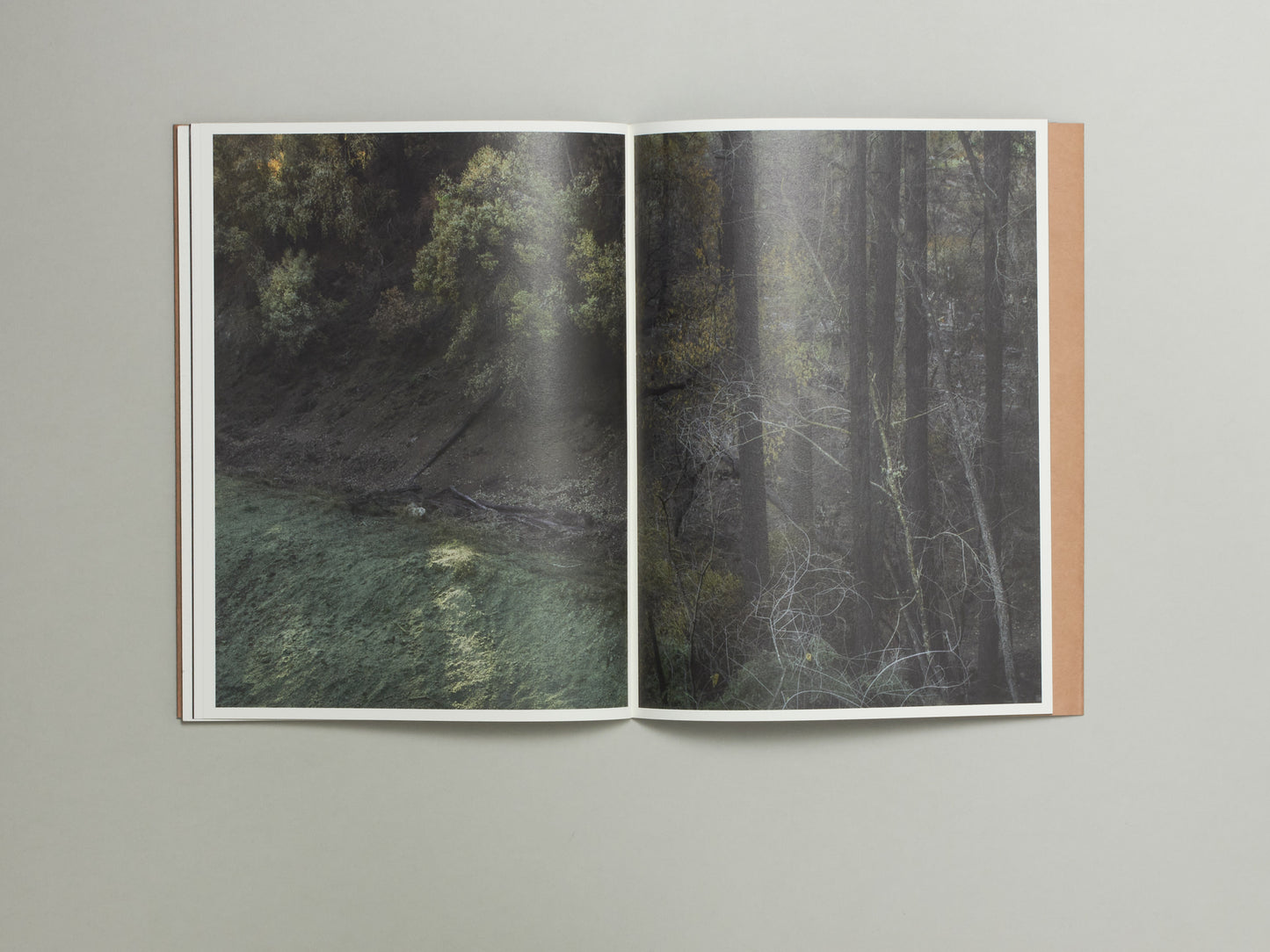 S Billie Mandle, Asunder
