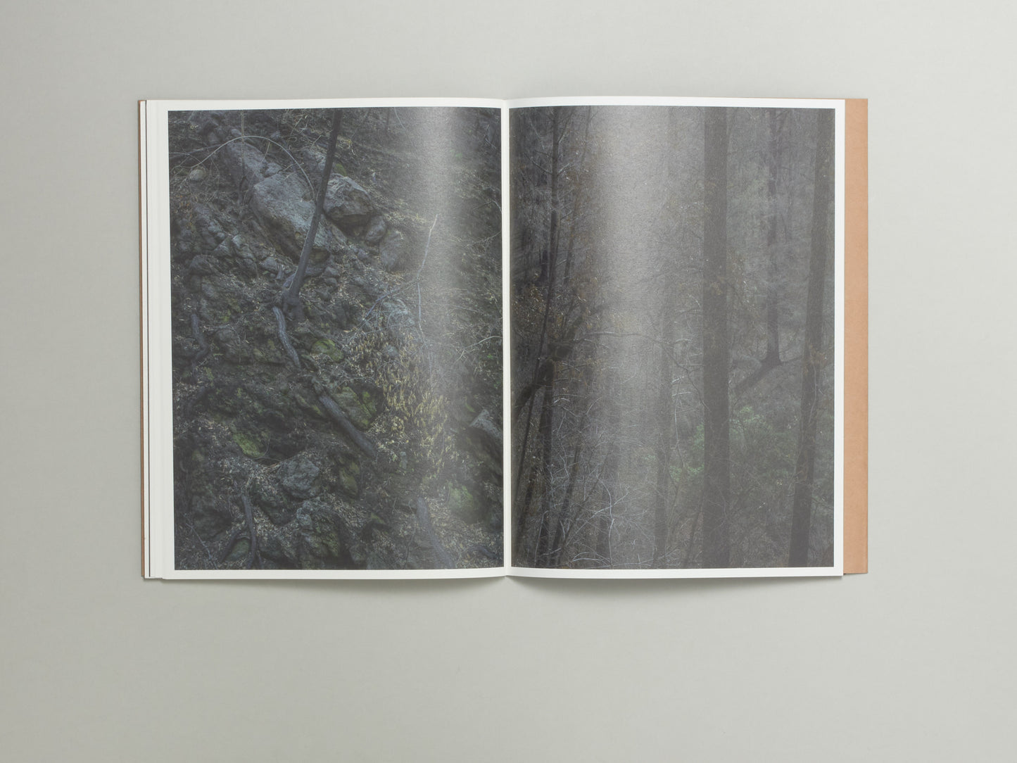 S Billie Mandle, Asunder