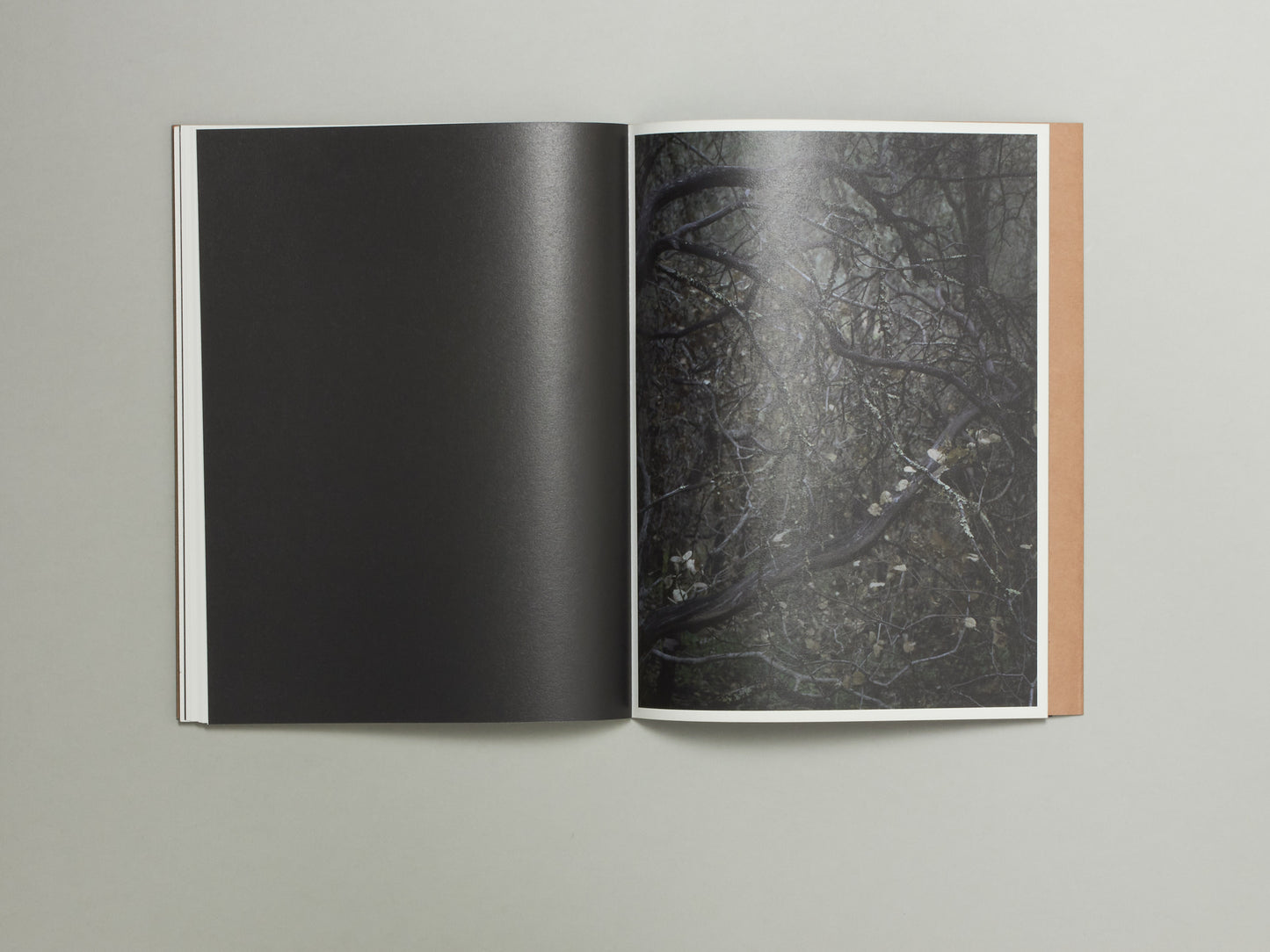 S Billie Mandle, Asunder