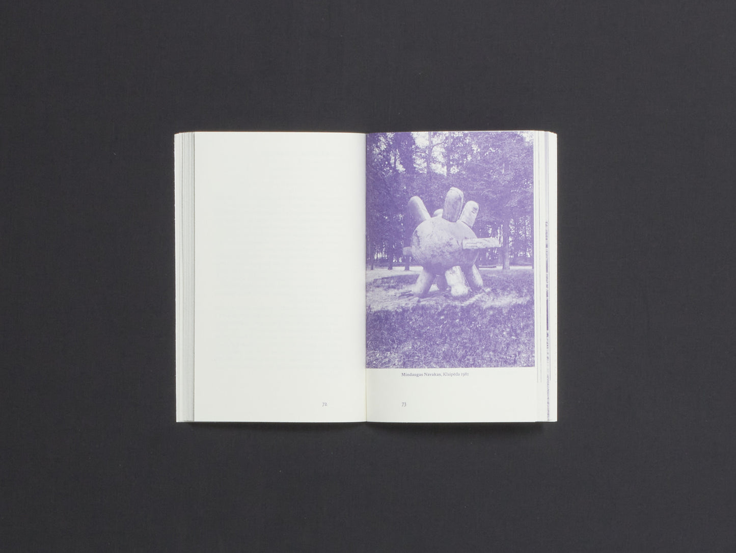 Matas Petrikas, The Joy of Electronic Music