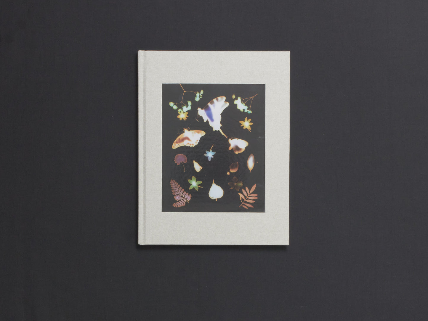 David Brandon Geeting, The Marble