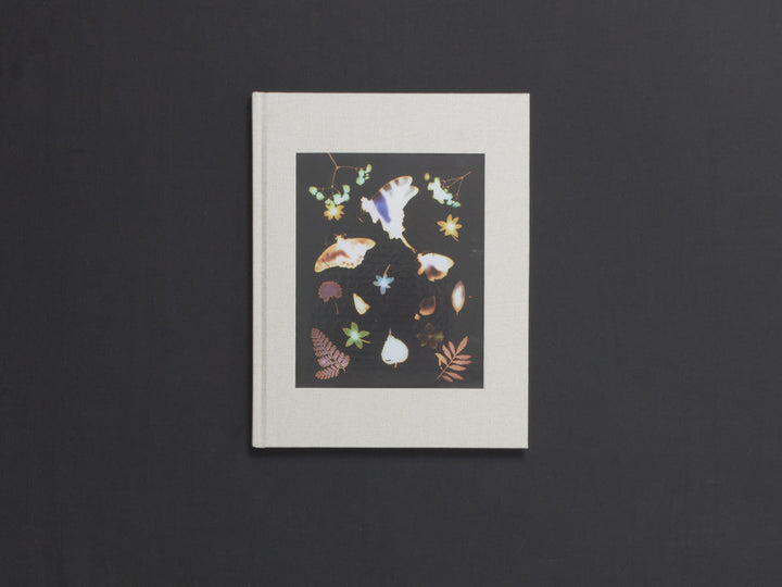 David Brandon Geeting, The Marble