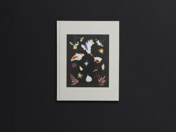 David Brandon Geeting, The Marble