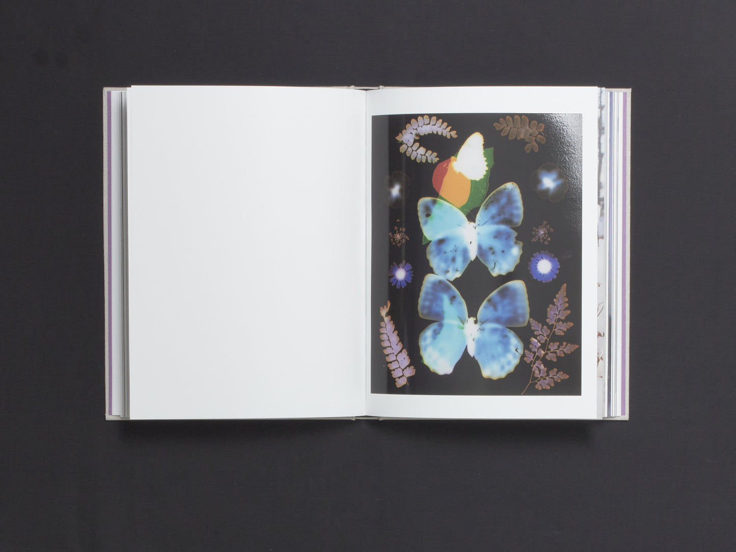 David Brandon Geeting, The Marble