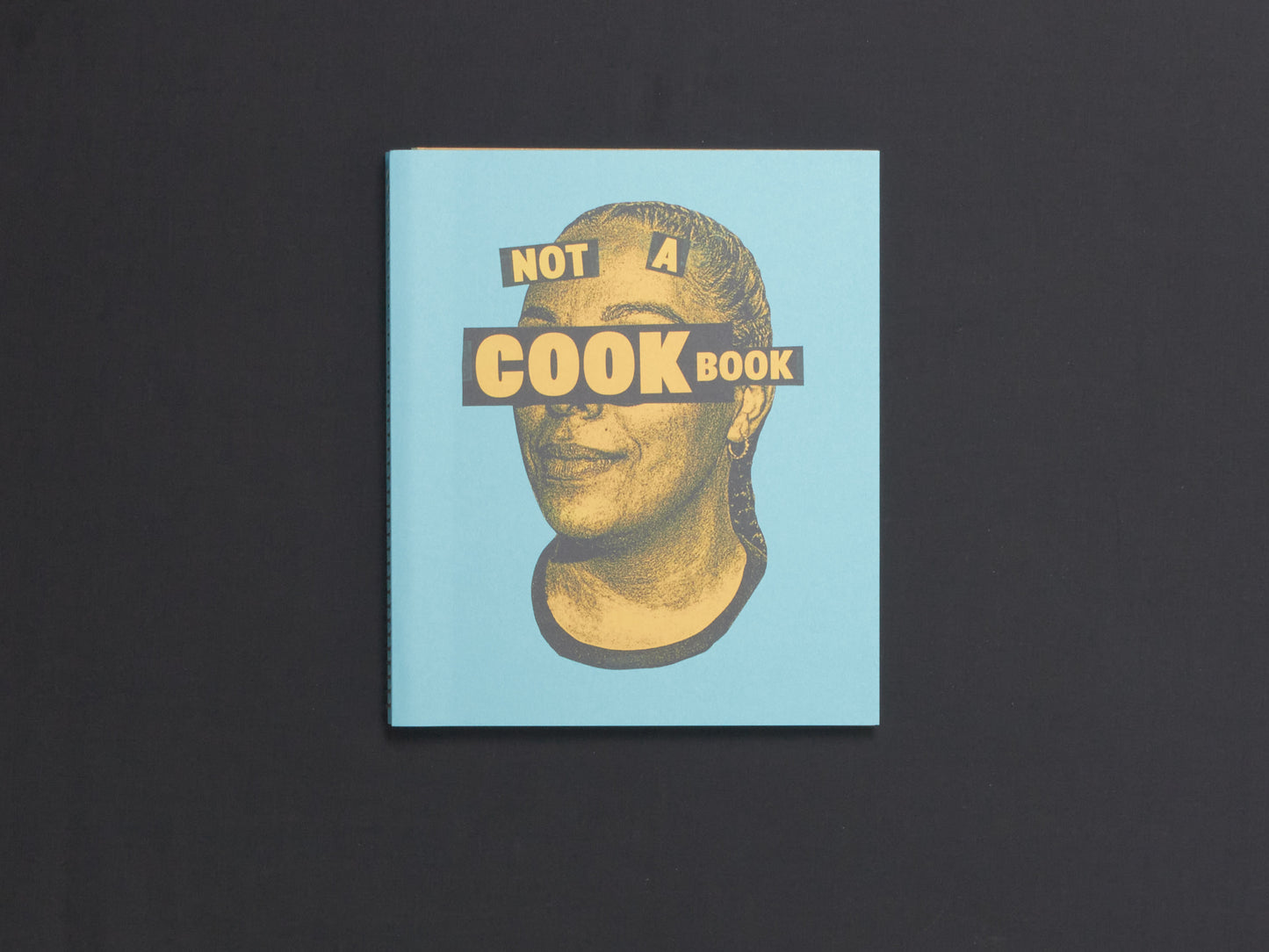 Robby Reis, Not A Cookbook
