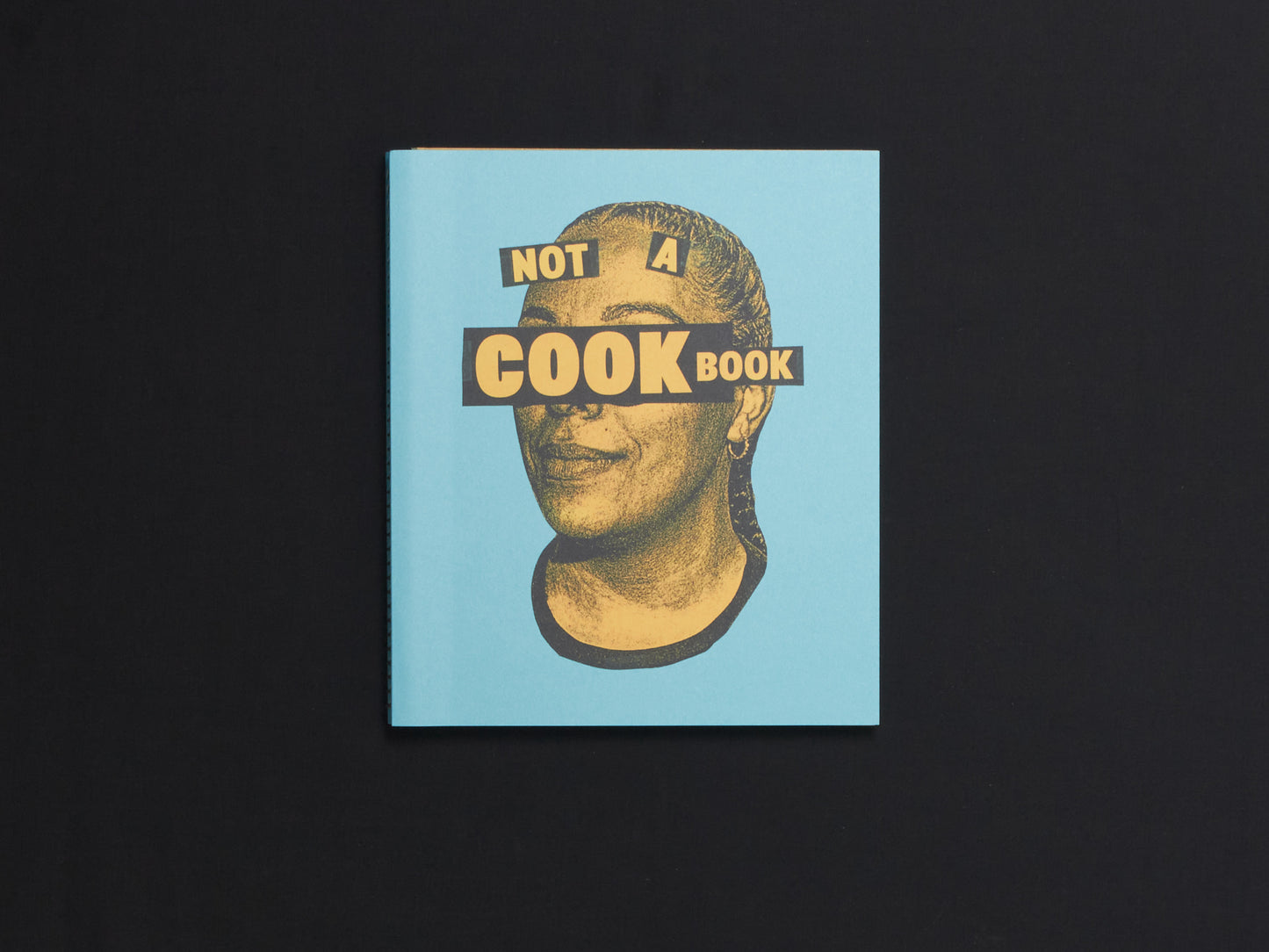 Robby Reis, Not A Cookbook