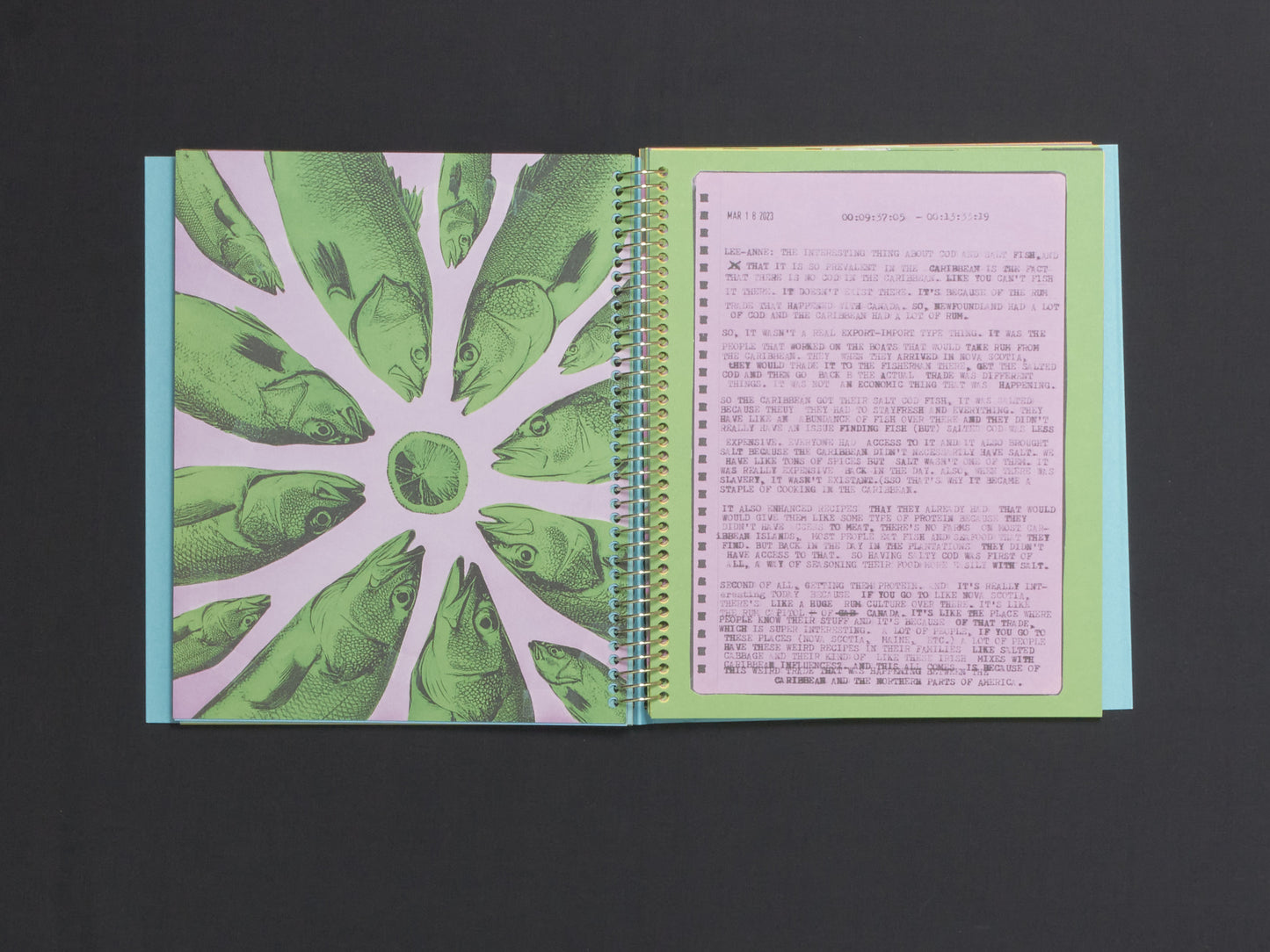 Robby Reis, Not A Cookbook