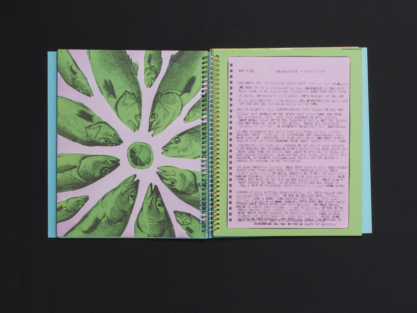 Robby Reis, Not A Cookbook