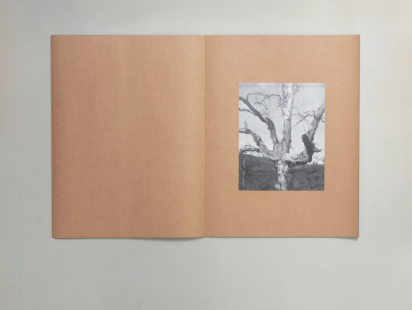 Mark Armijo McKnight, Posthume