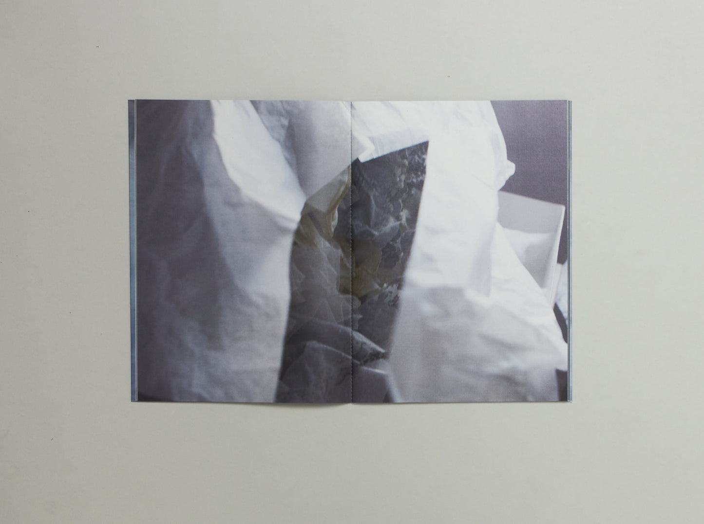 Gisela Torres, What Lee Wore