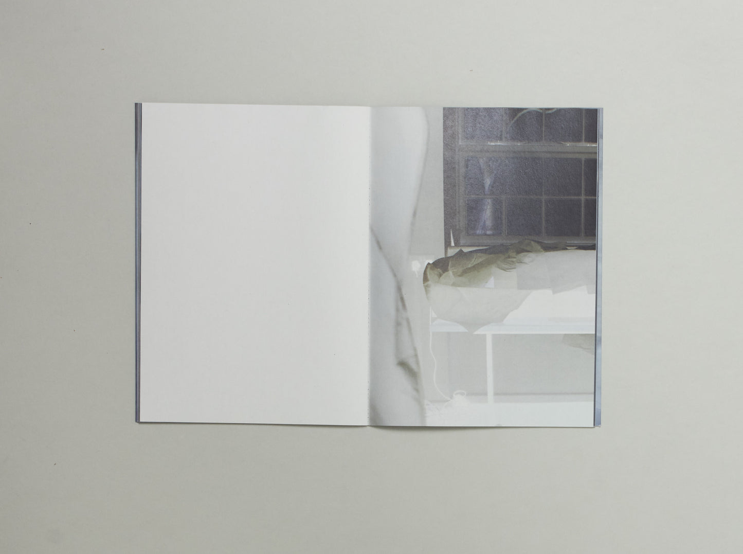 Gisela Torres, What Lee Wore