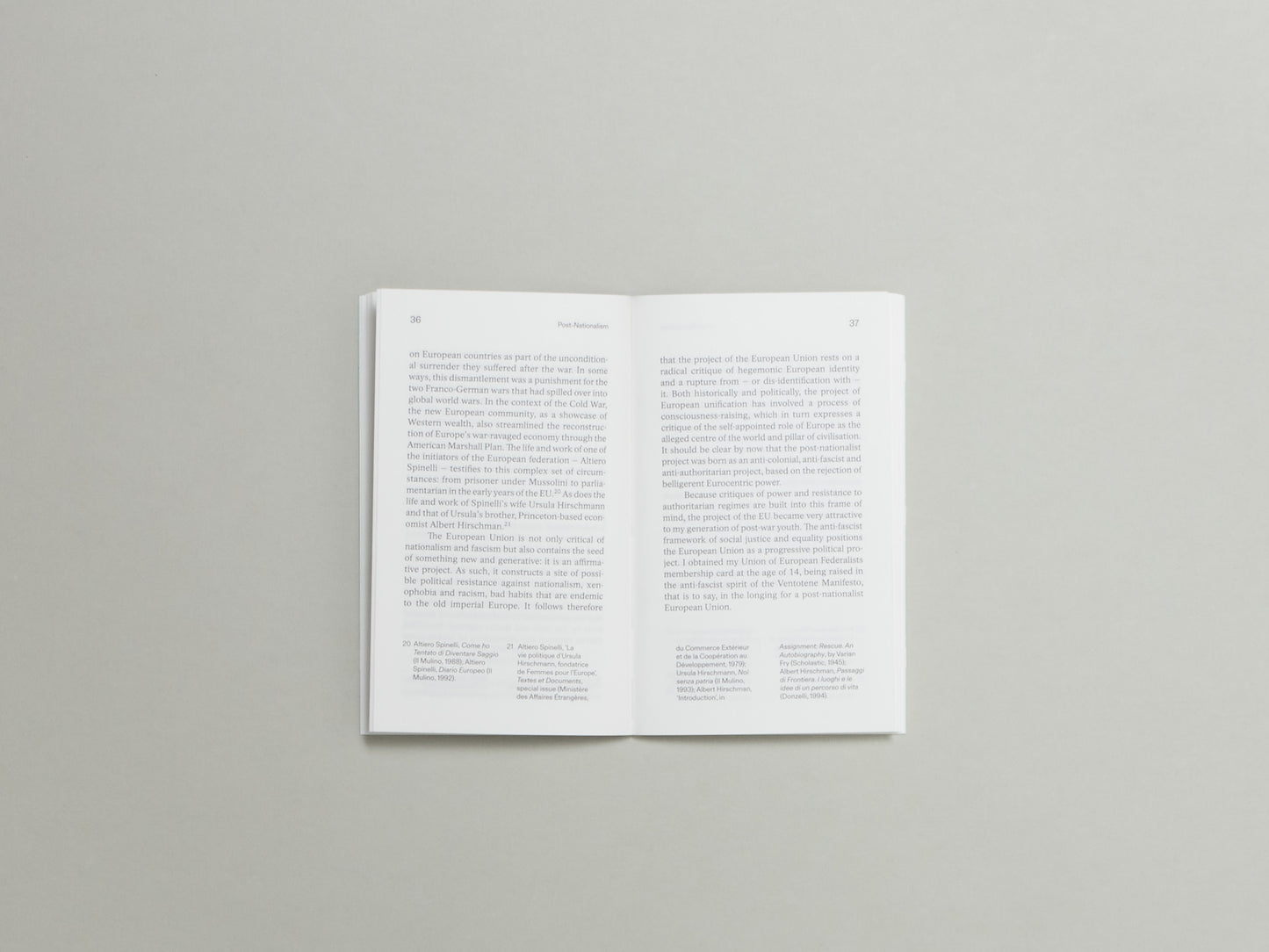 Rosi Braidotti, Post-Nationalism