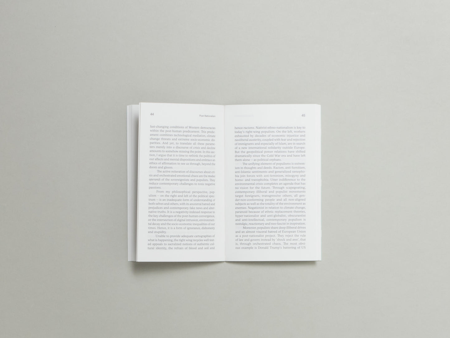 Rosi Braidotti, Post-Nationalism