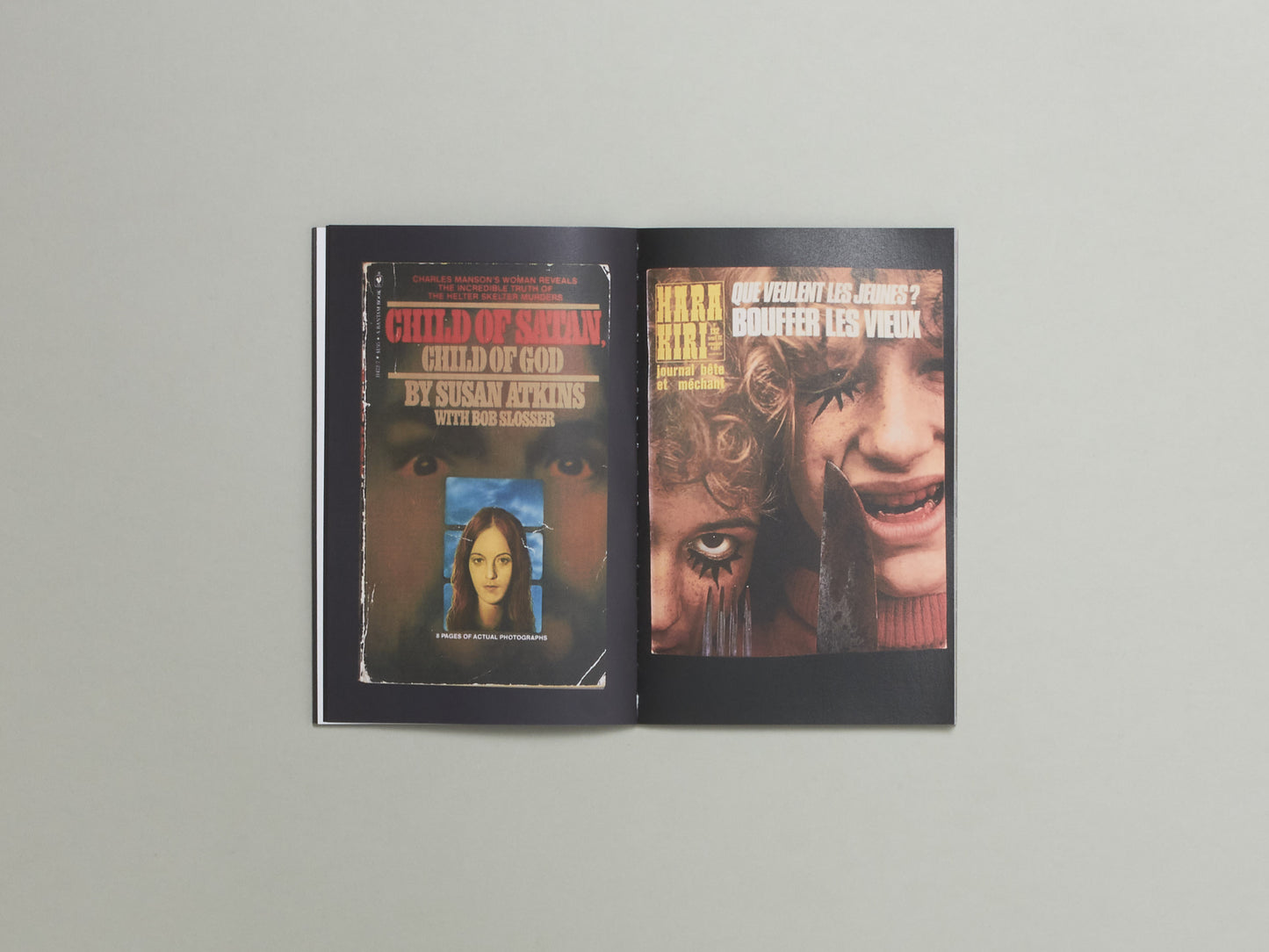 HIGH MINDS CULT CRIMES