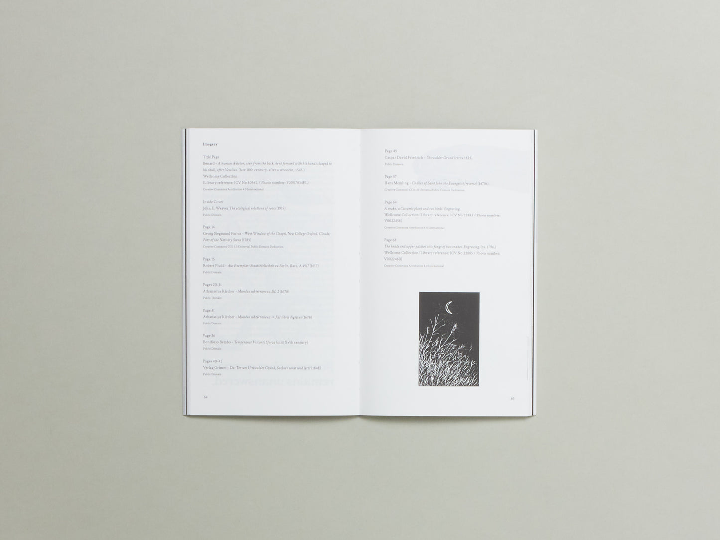 Wanderweg Issue 1