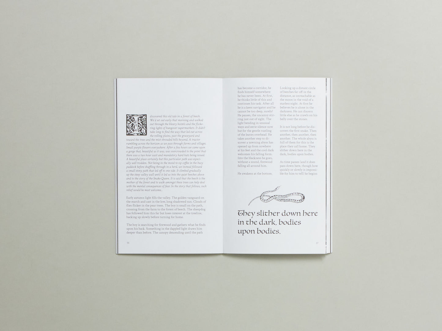 Wanderweg Issue 1
