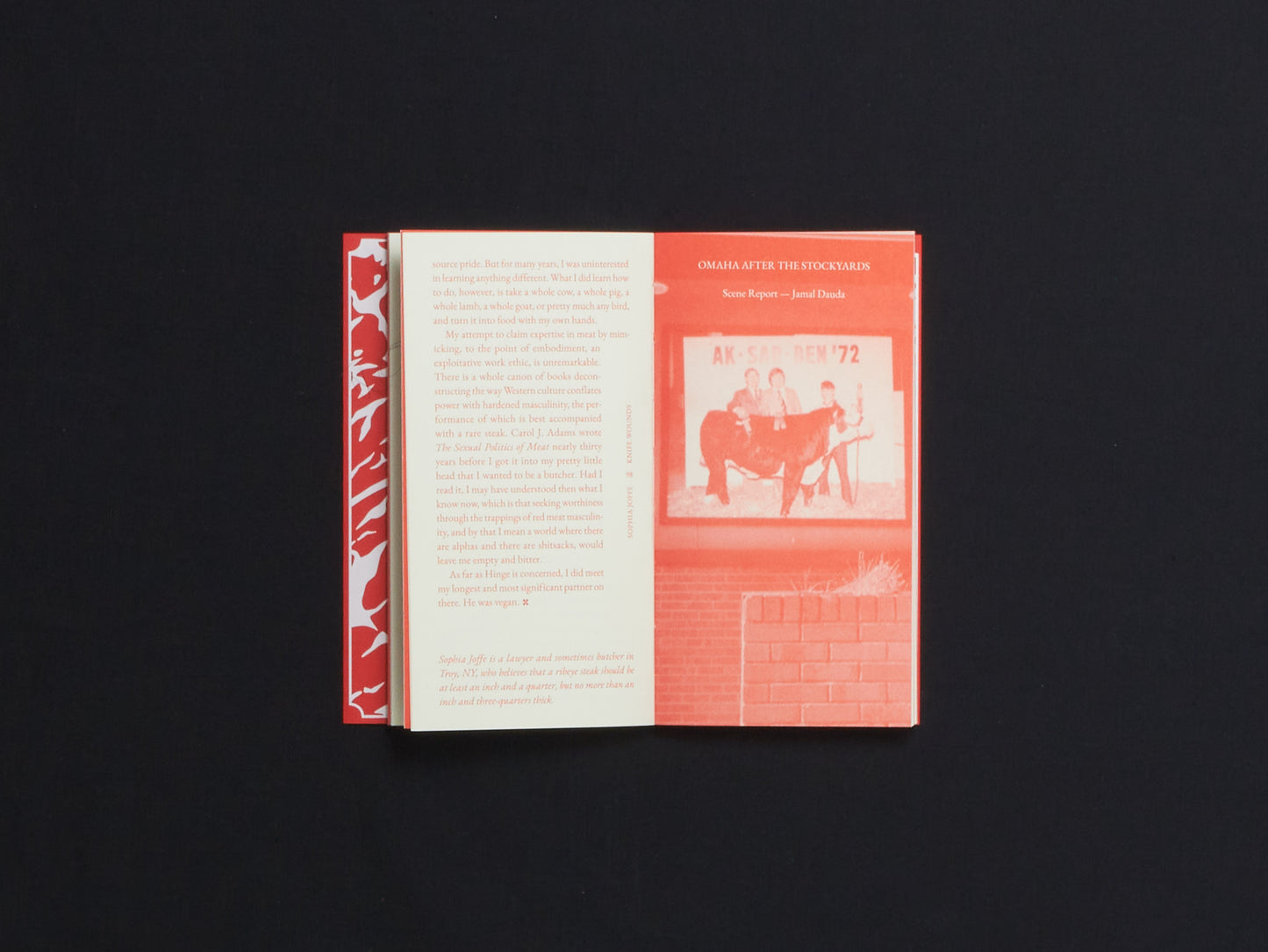 Steak Zine (Cake Zine, Special Issue)