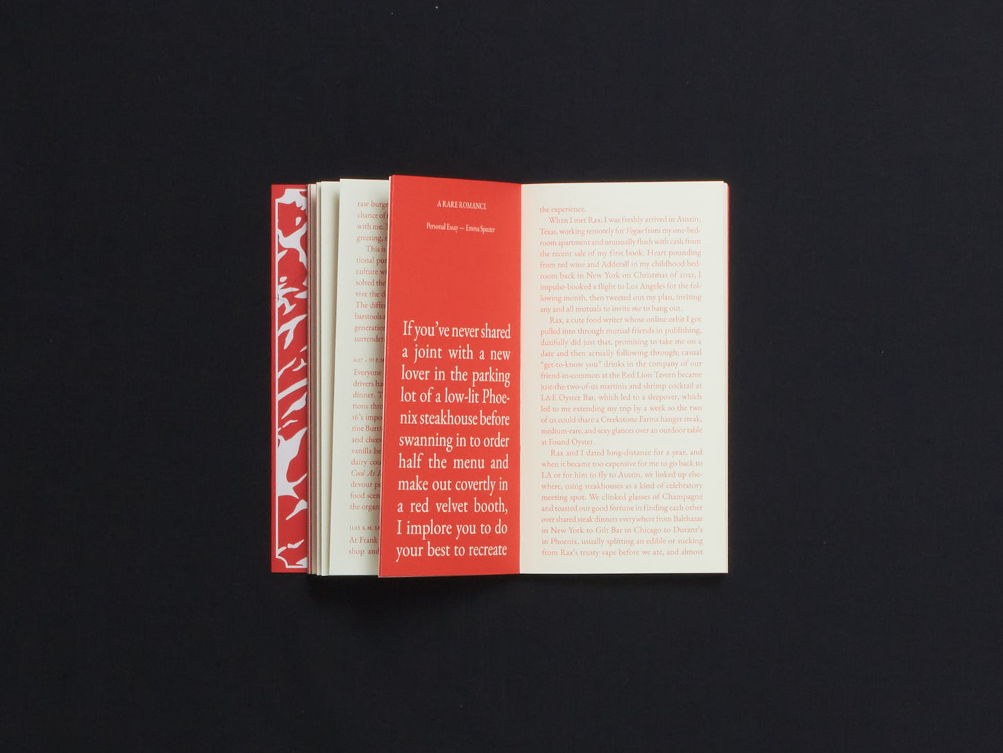 Steak Zine (Cake Zine, Special Issue)