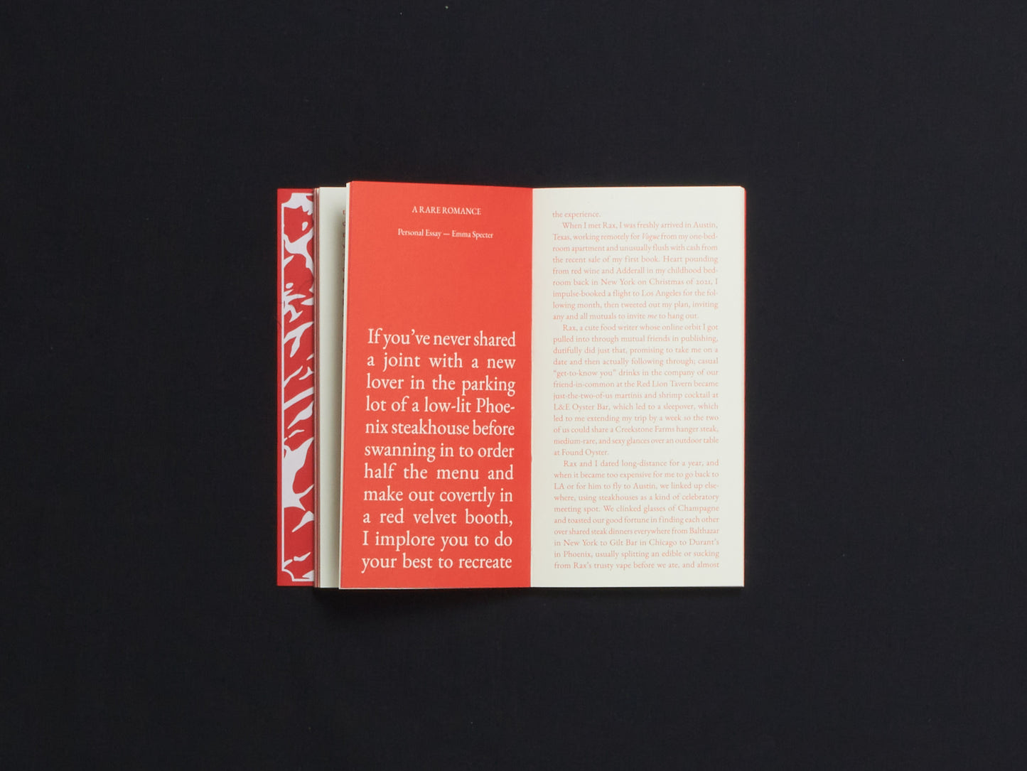 Steak Zine (Cake Zine, Special Issue)