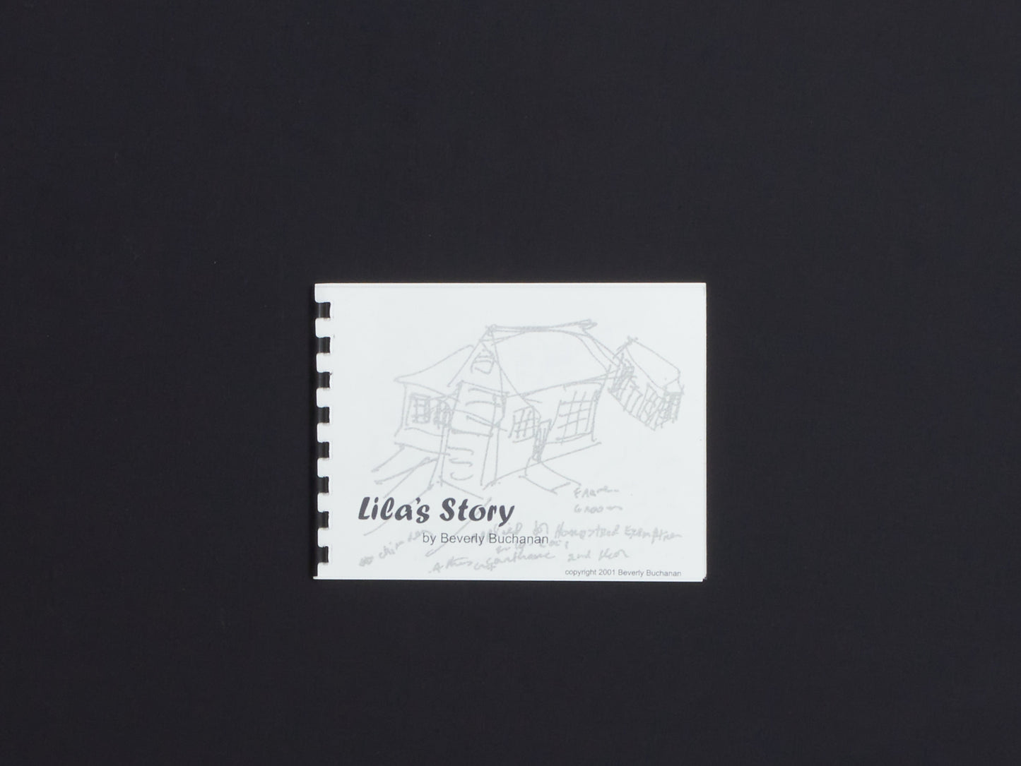 Beverly Buchanan, Lila’s Story