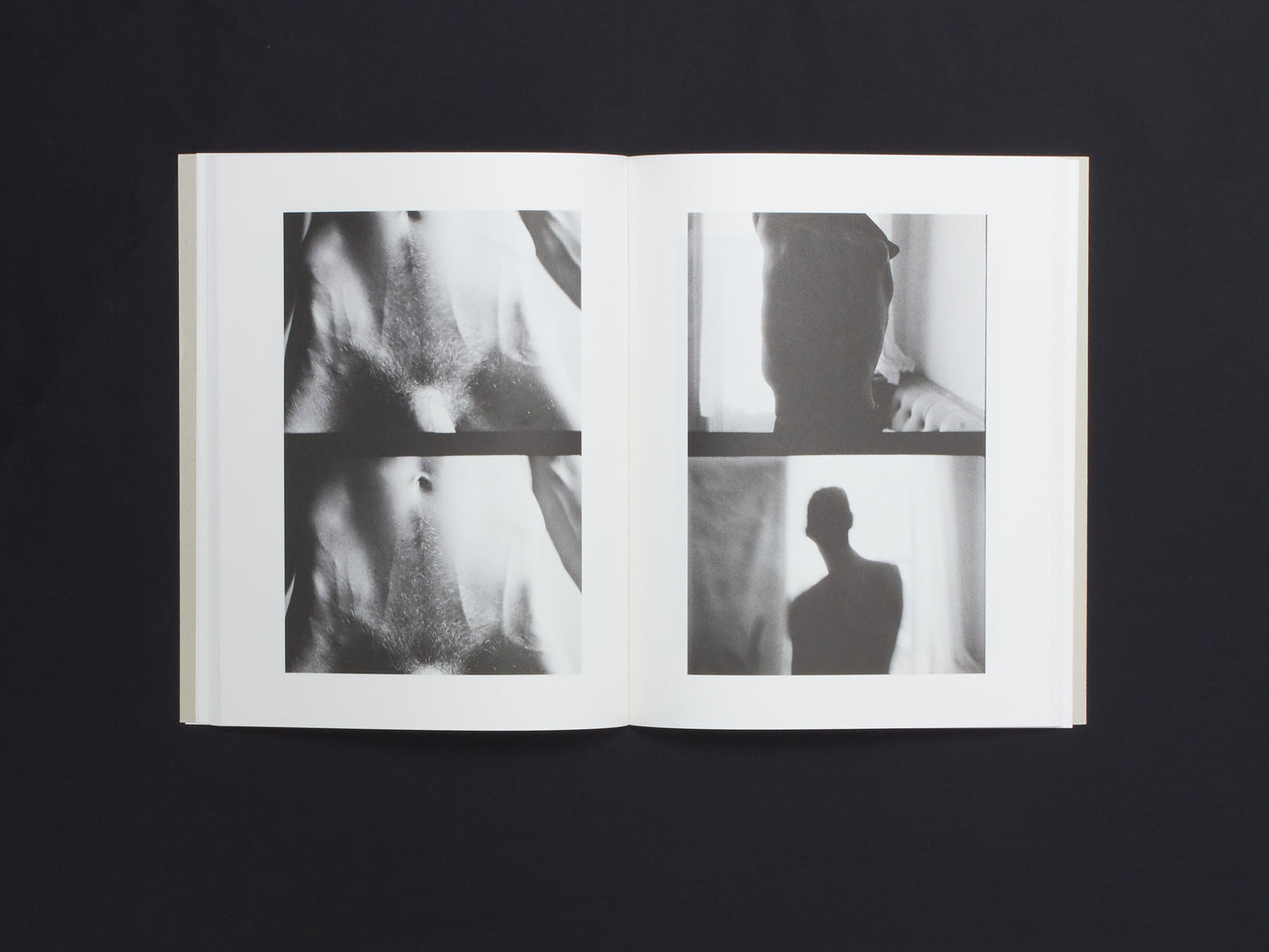 Daniel Rampulla, Augury