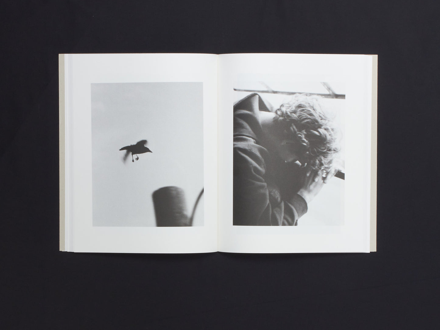 Daniel Rampulla, Augury