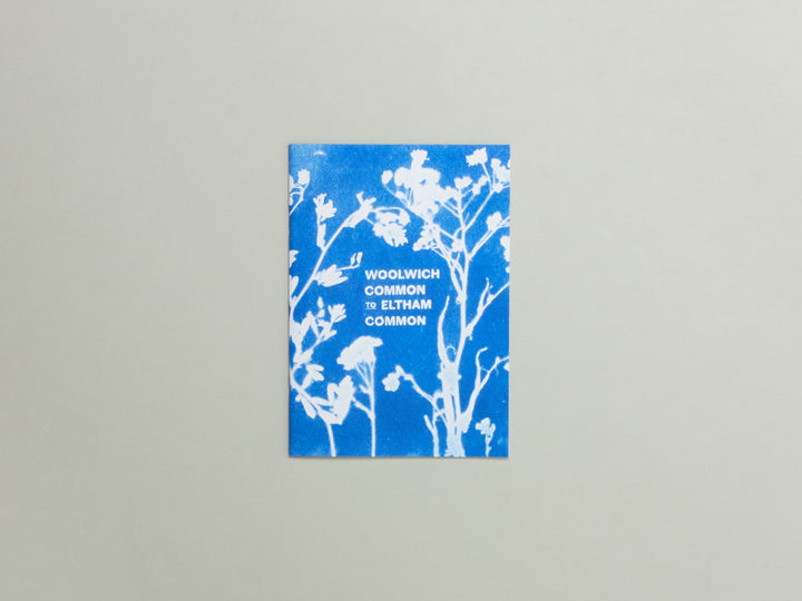 Woolwich Common to Eltham Common: A South London Landscape History