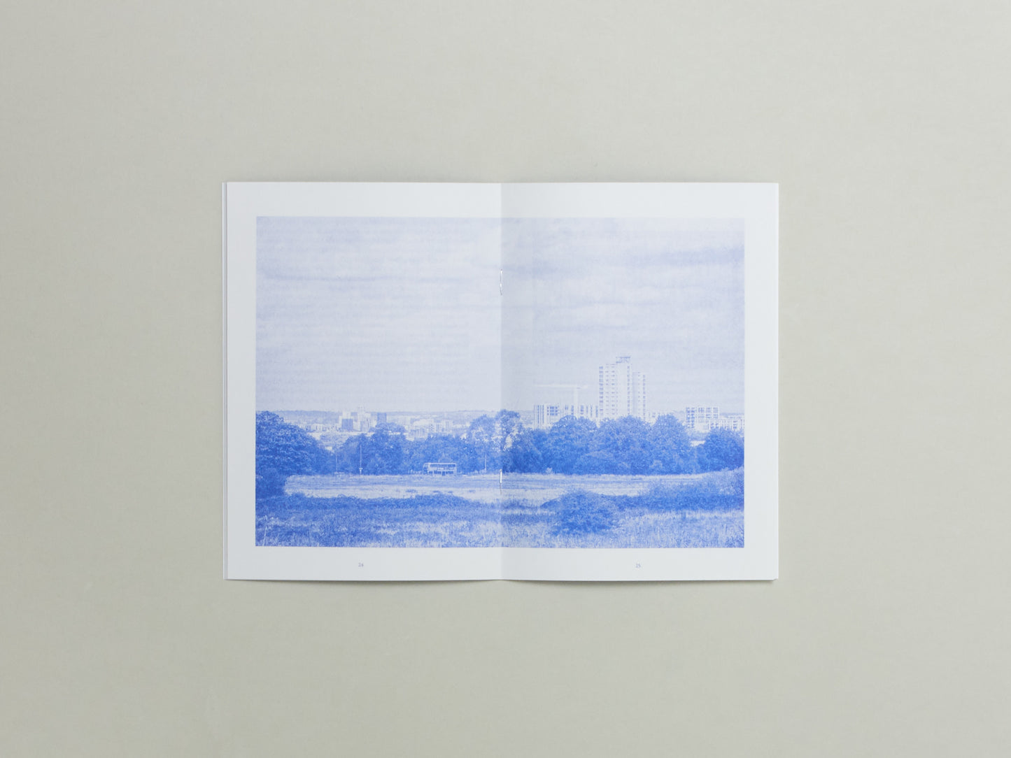 Woolwich Common to Eltham Common: A South London Landscape History