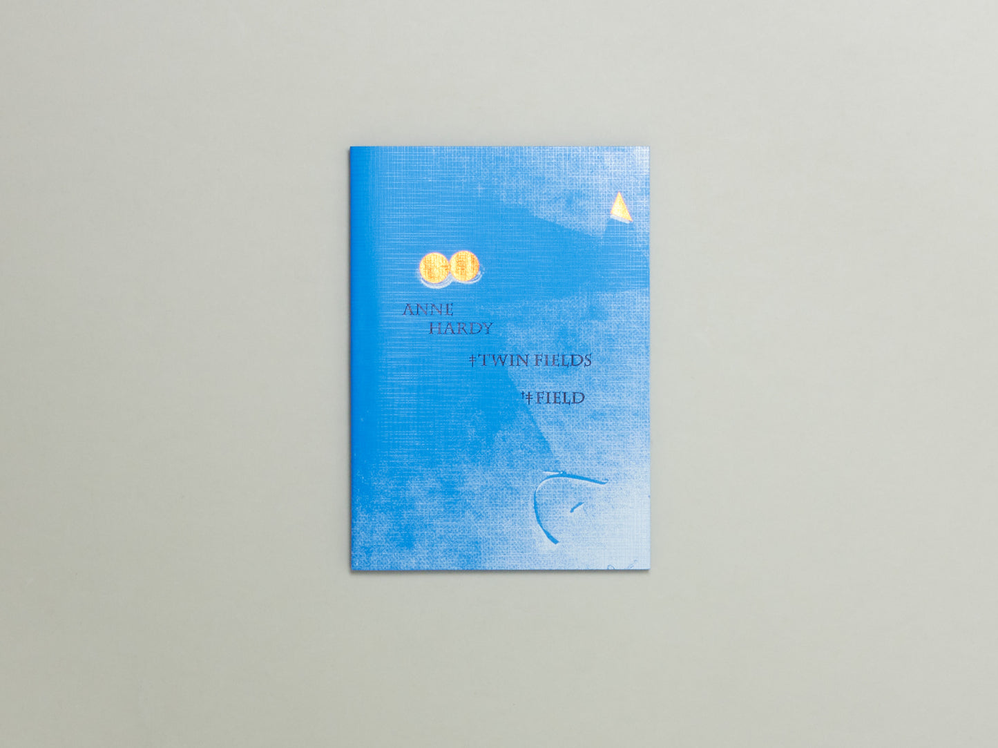 Anne Hardy, TWIN FIELDS, FIELD, Fieldworks