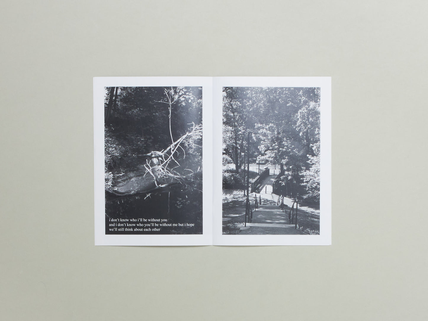 A Arden & Foster Finch Schrader, haunt