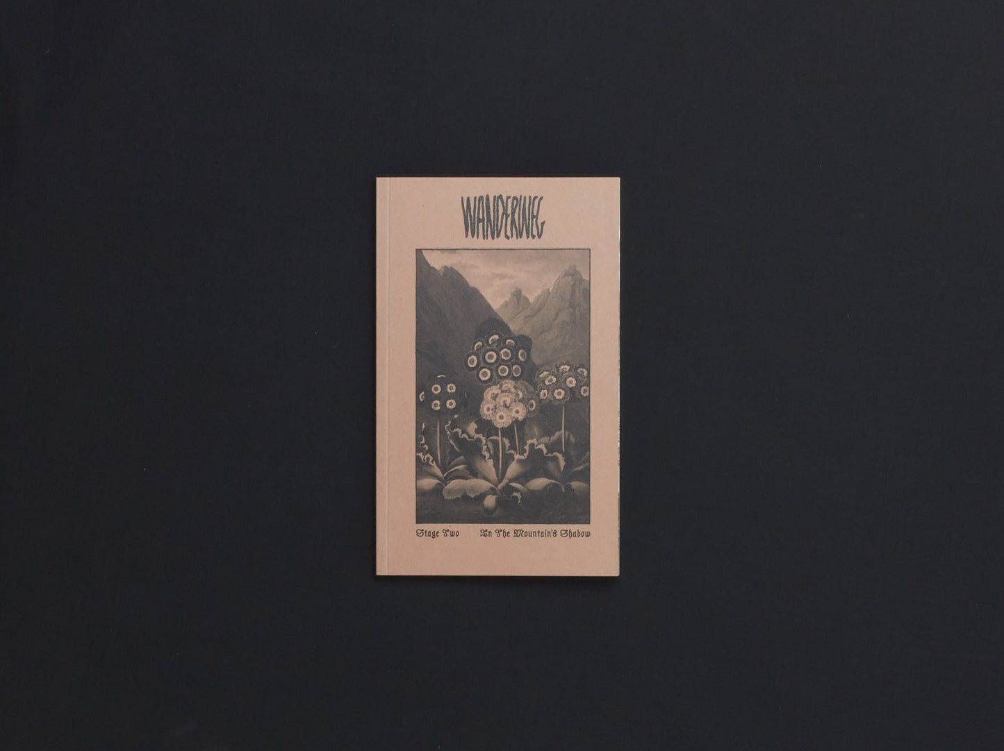 Wanderweg Issue 2