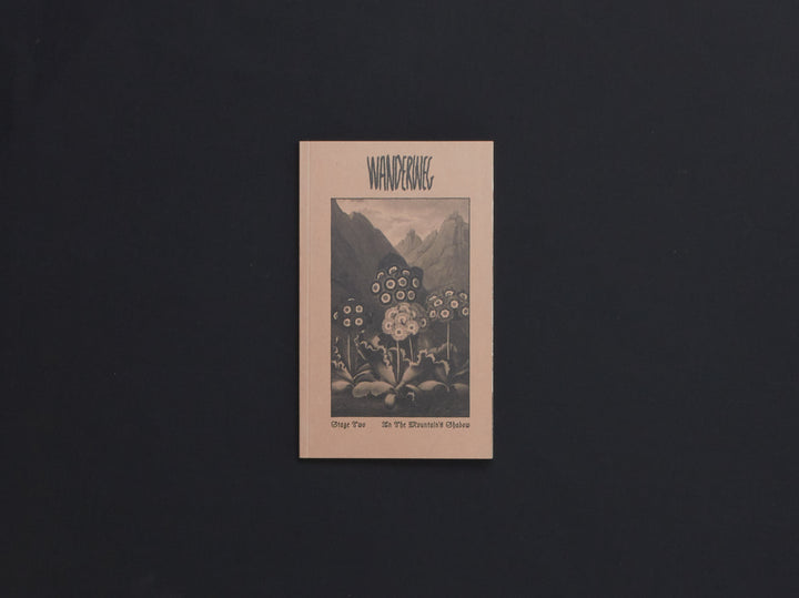 Wanderweg Issue 2