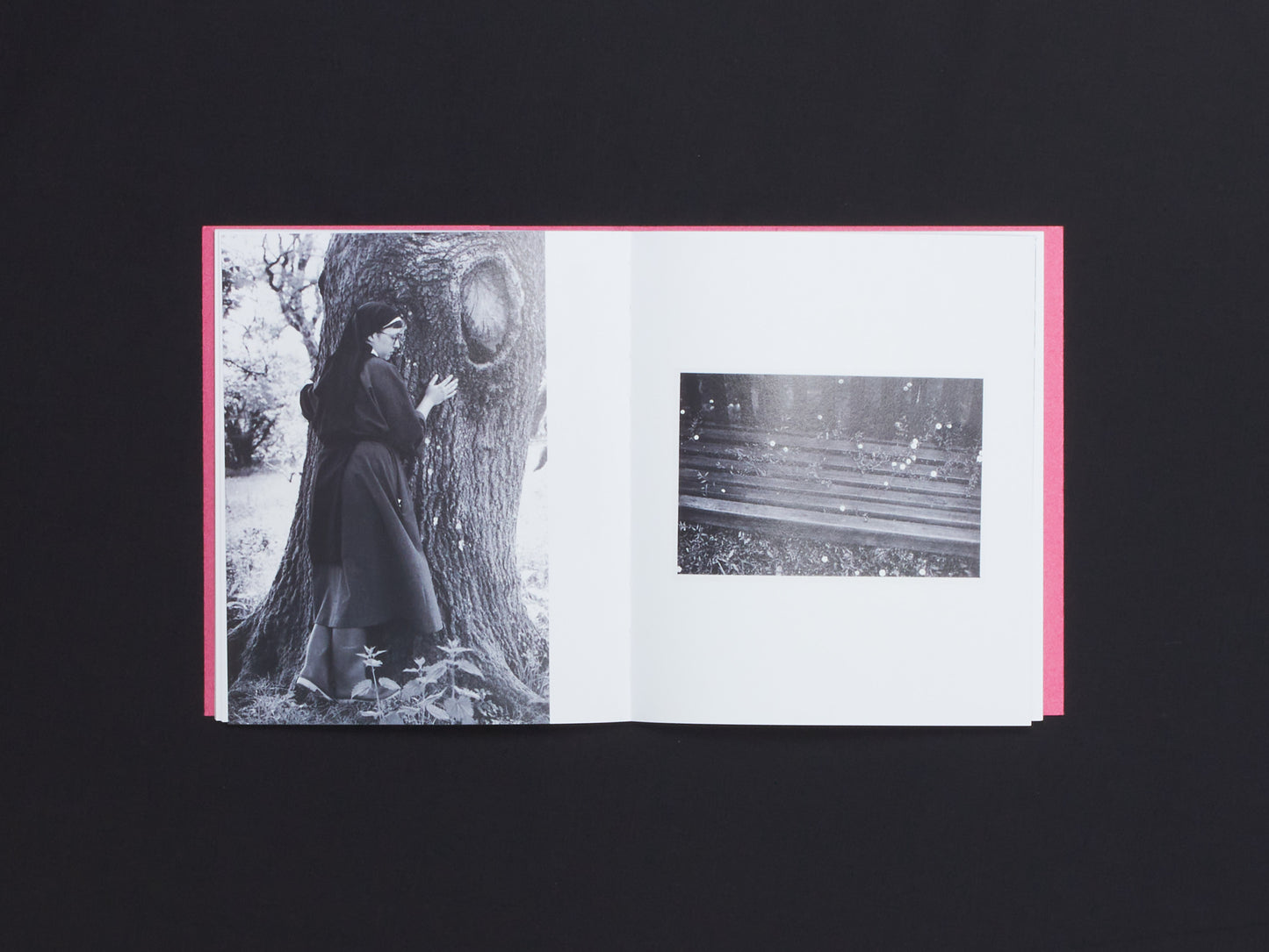 Suzie Howell, A Bowl of Tears to Drink