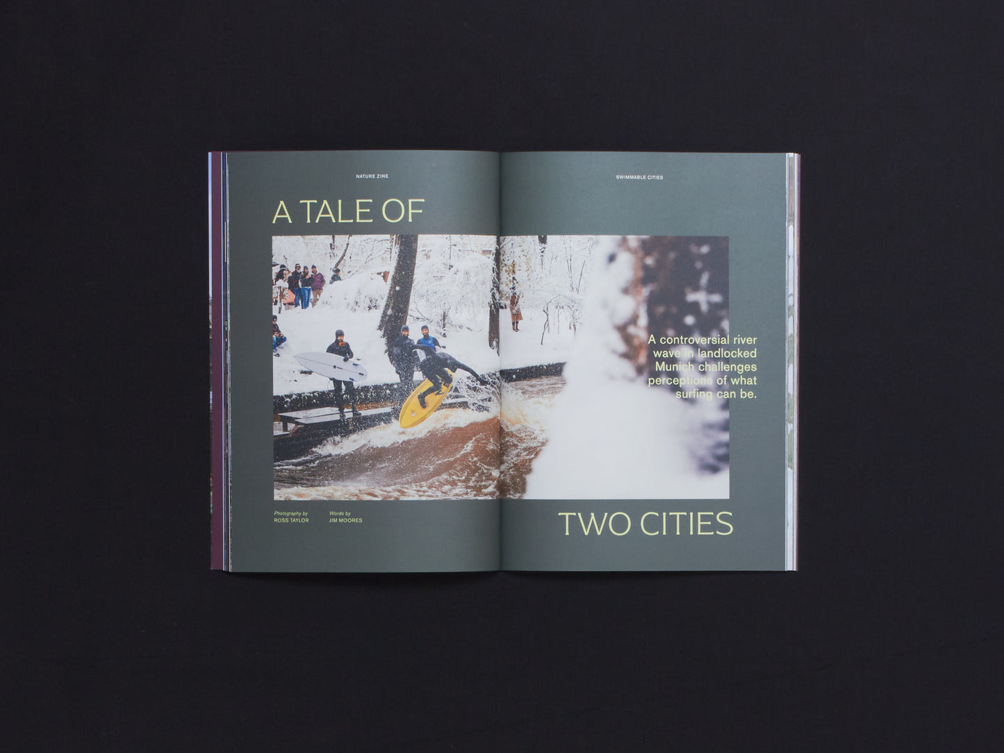 Nature Zine Issue 3: Swimmable Cities