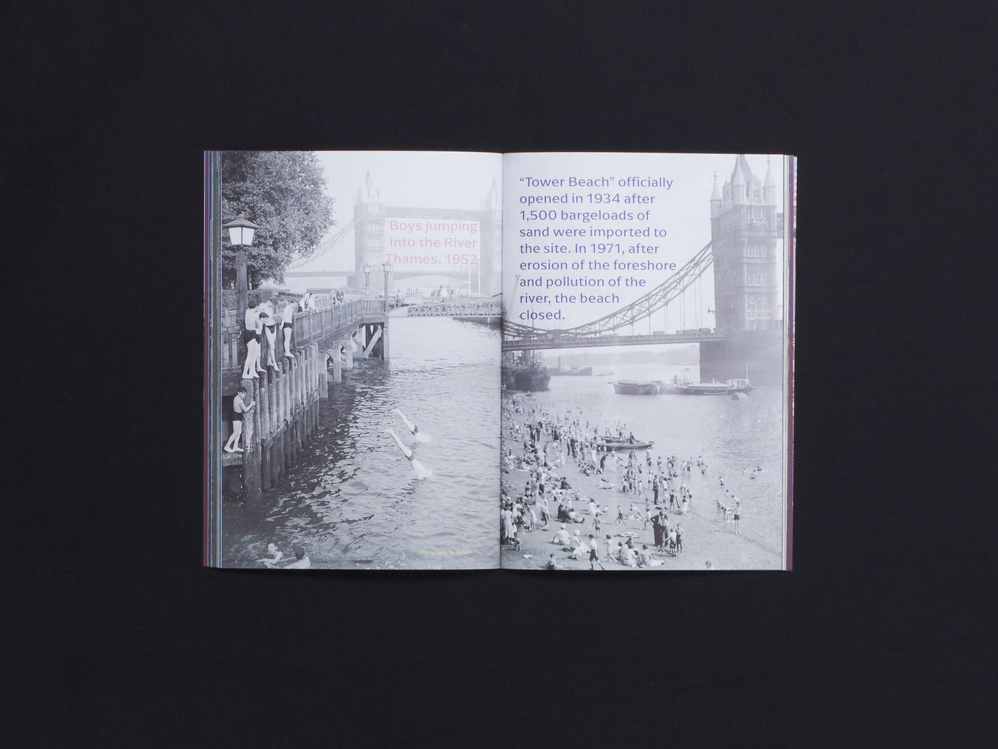 Nature Zine Issue 3: Swimmable Cities