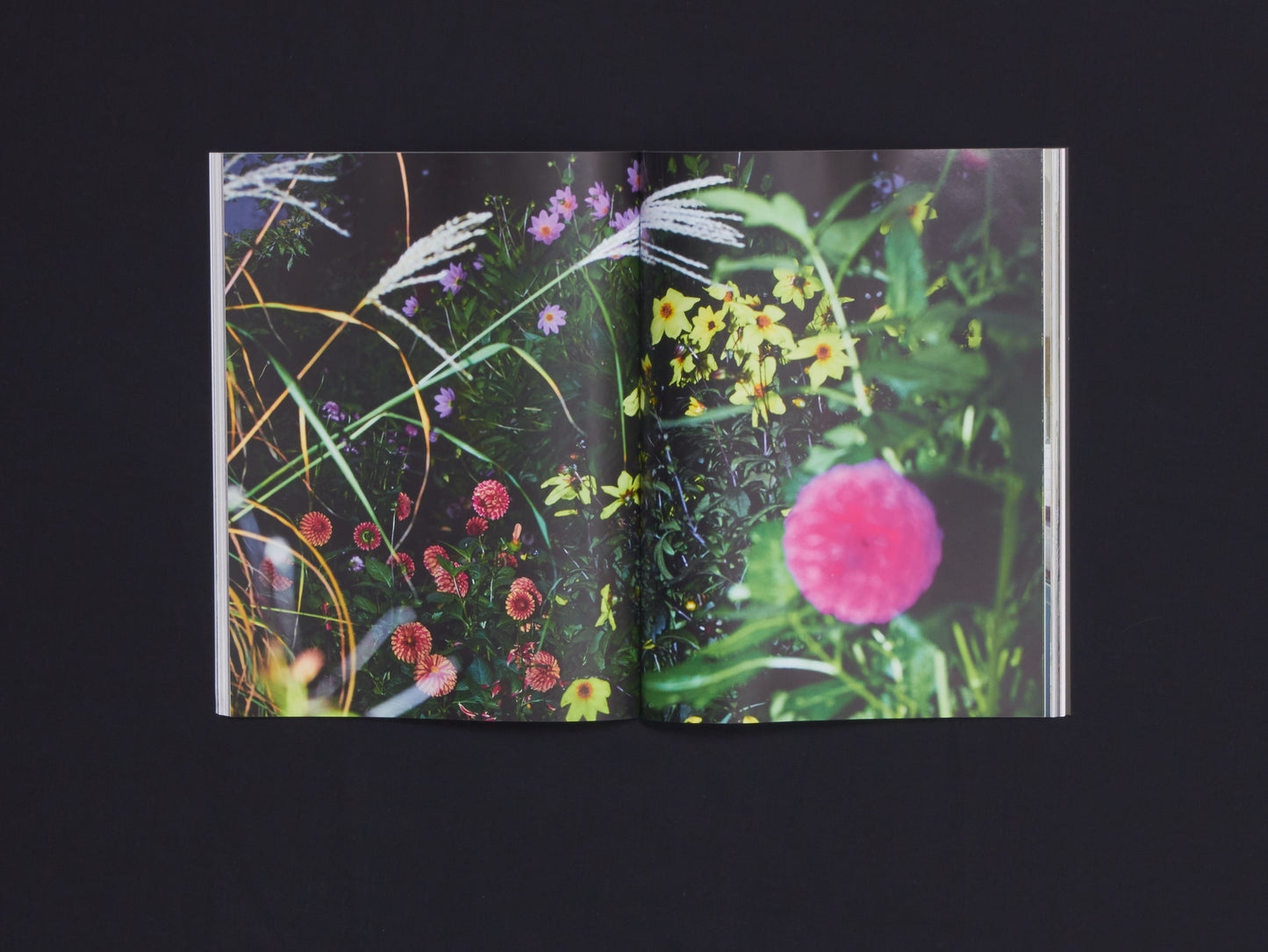 The World of Interiors July 2026