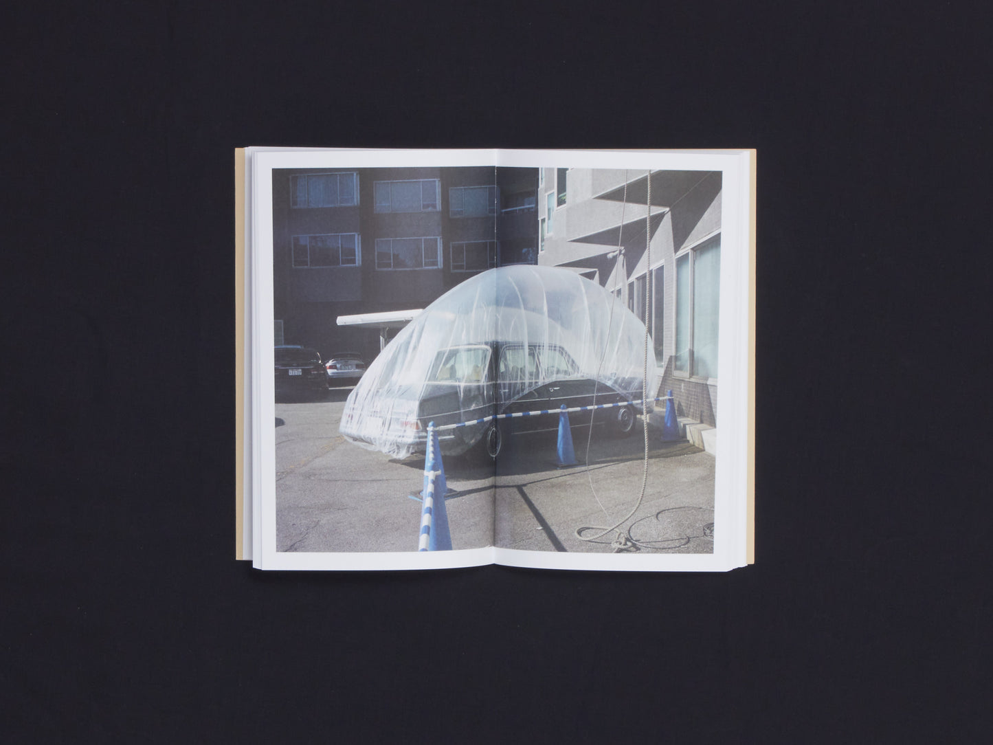 Takashi Homma, BTS