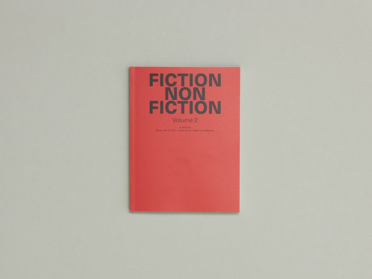 Bruno Zhu, Fiction Non Fiction Cahier 2