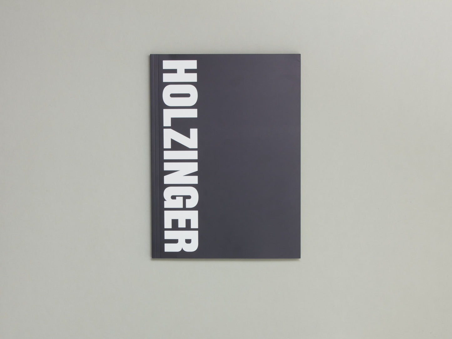 Florentina Holzinger, HOLZINGER