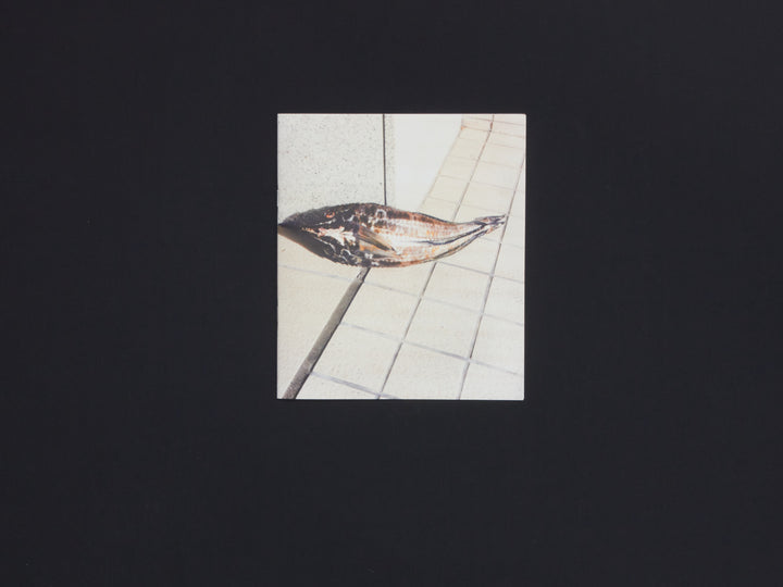 Naohiro Harada, Tokyo Fishgraphs II