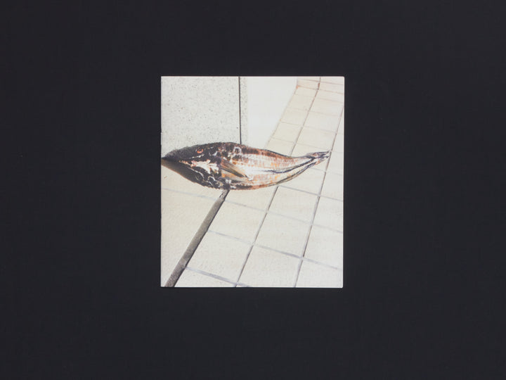 Naohiro Harada, Tokyo Fishgraphs II