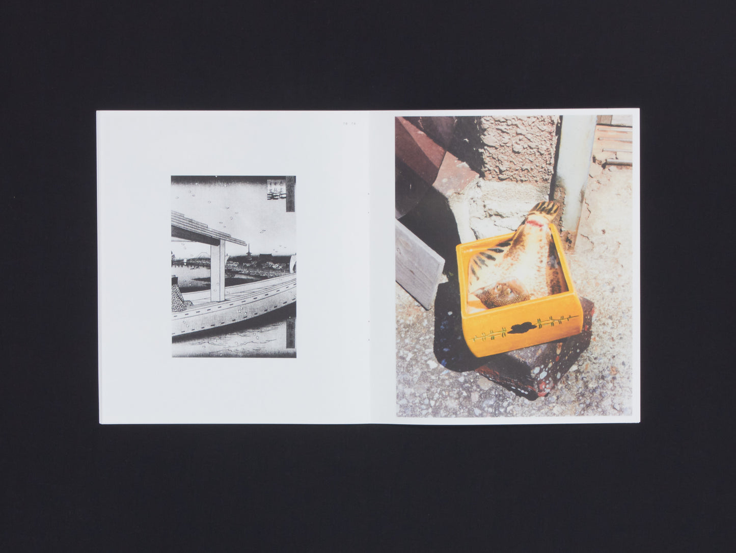 Naohiro Harada, Tokyo Fishgraphs II