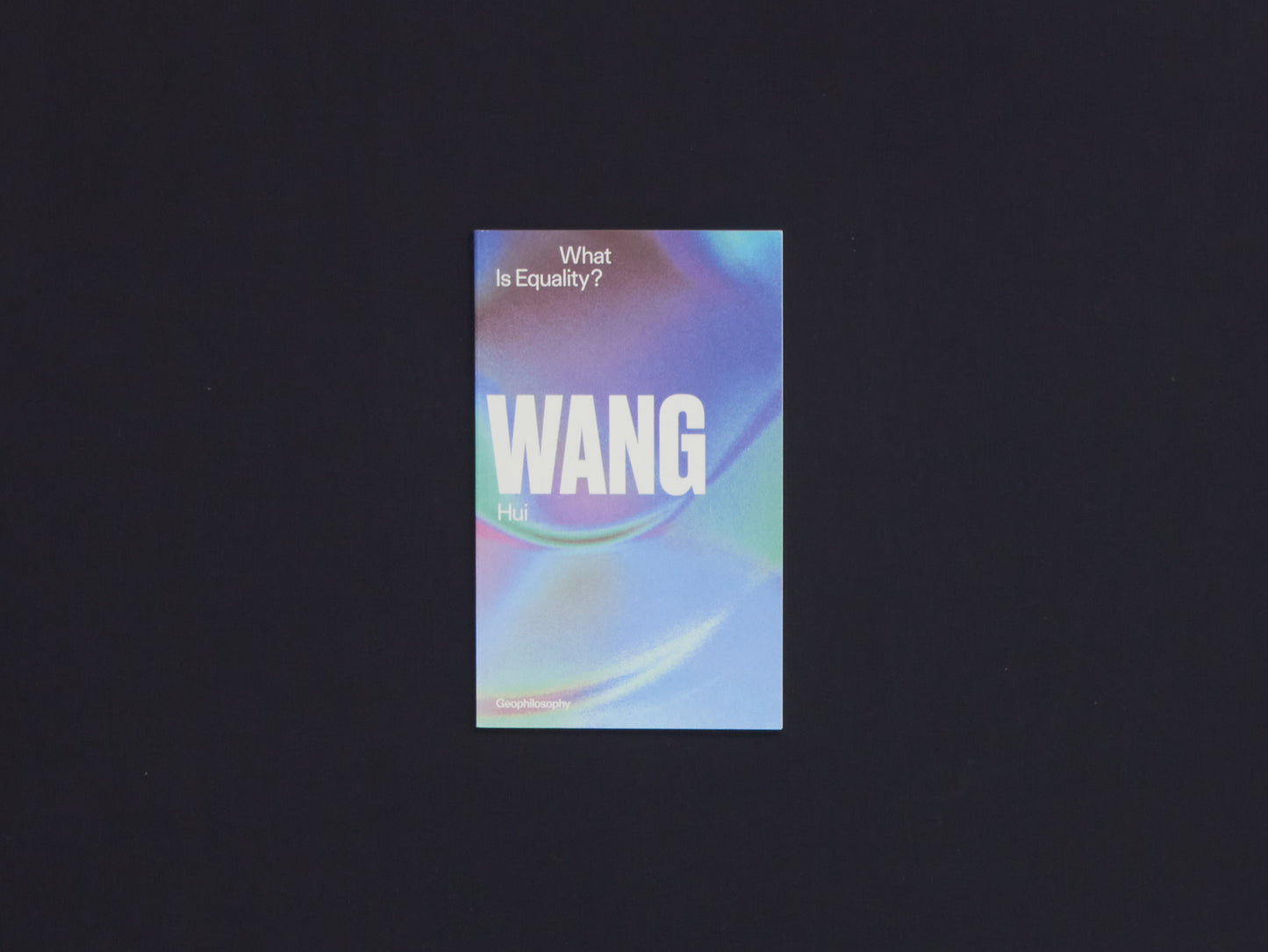 Wang Hui, What is Equality?