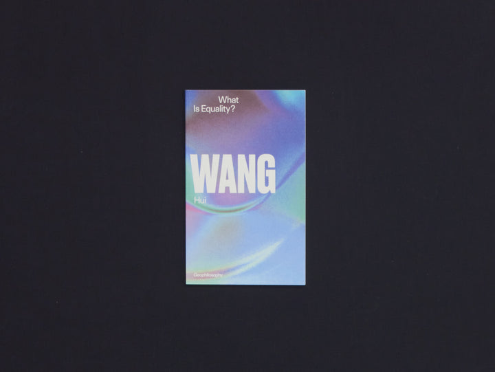Wang Hui, What is Equality?