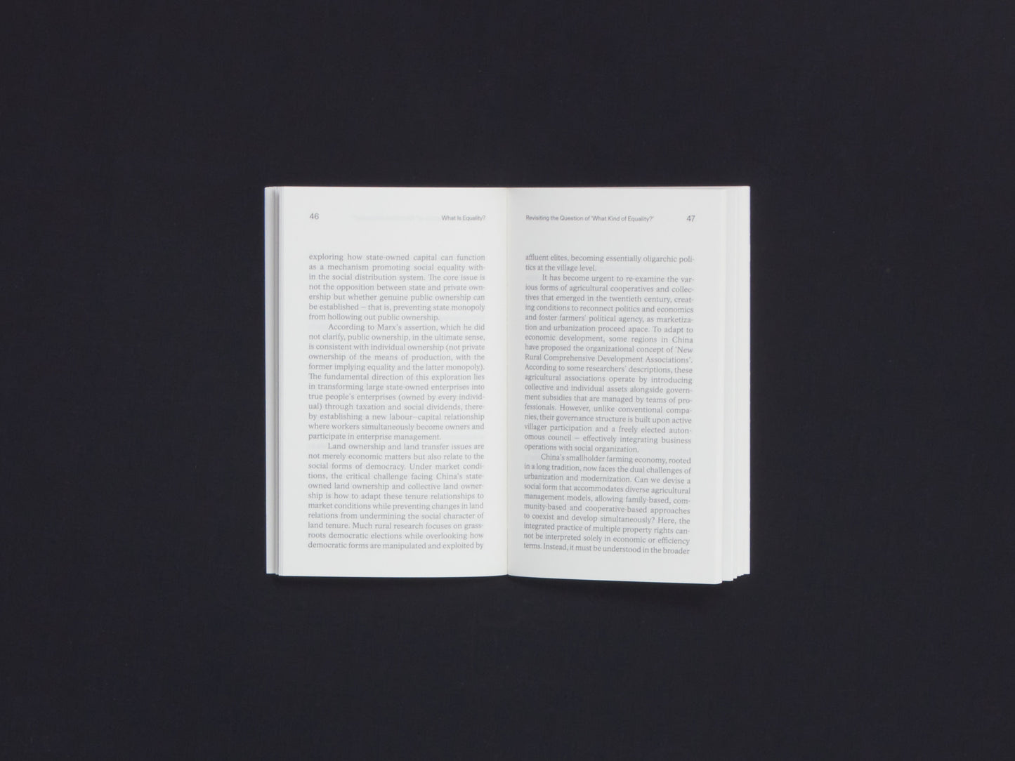 Wang Hui, What is Equality?