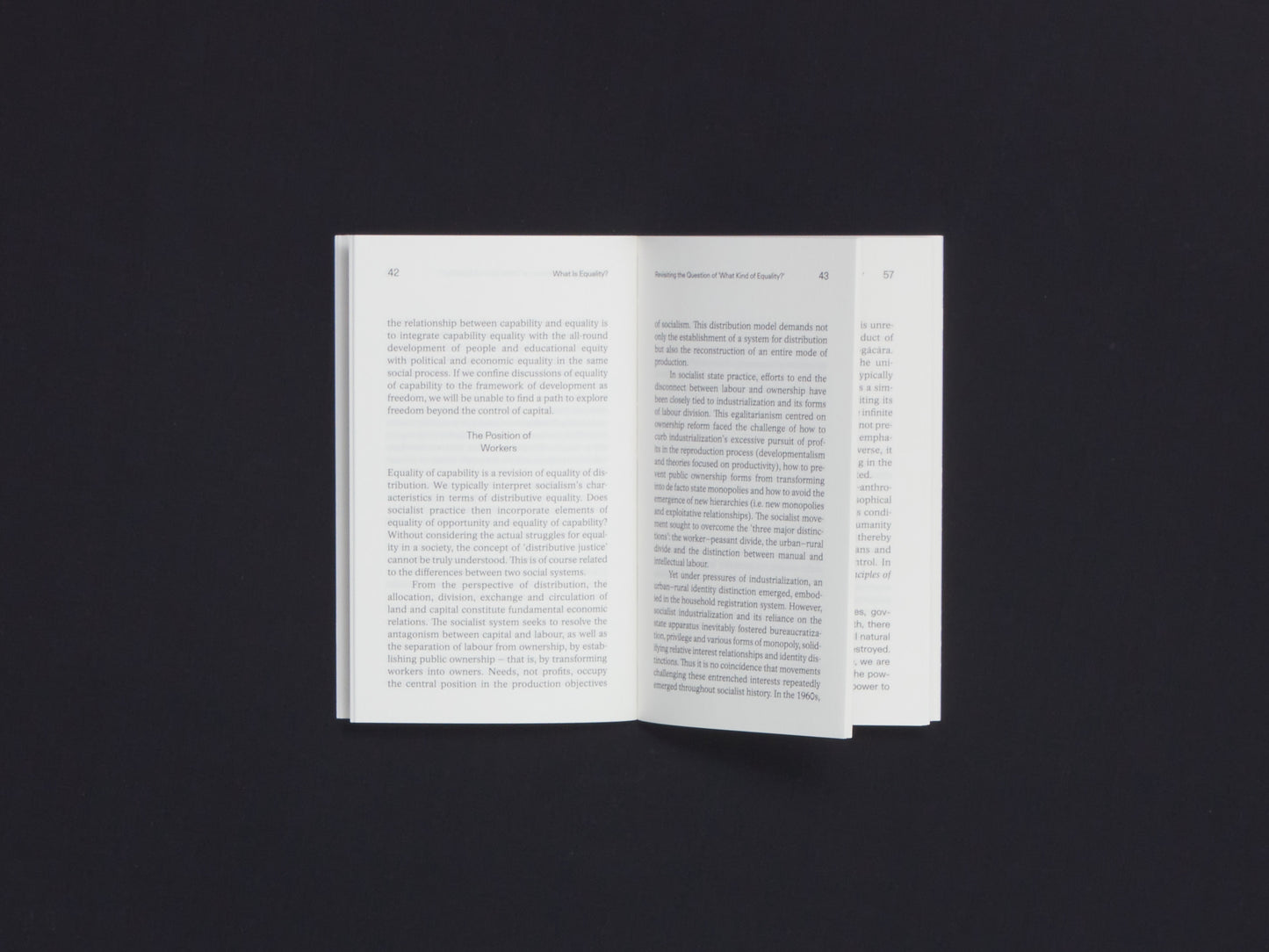 Wang Hui, What is Equality?
