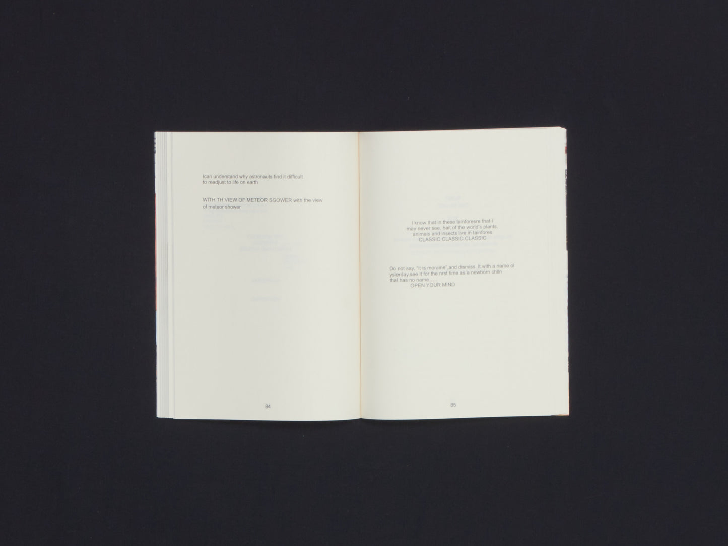 Shanzhai Lyric, Endless Garment